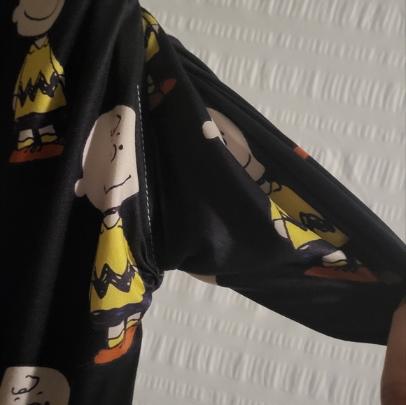 Brief Insanity Charlie Brown lounge pants.  Comfy. Small. Peanuts - Picture 6 of 6